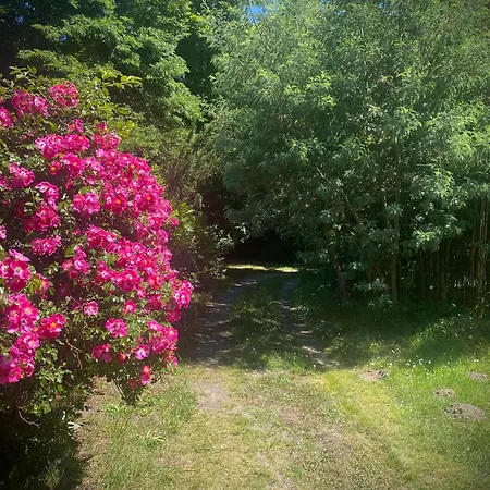 A Entre Terre Et Ocean Guest house Linxe