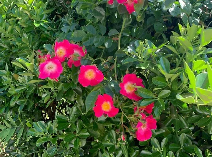 A Entre Terre Et Ocean Gasthof