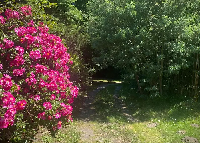 A Entre Terre Et Ocean Gasthof Linxe